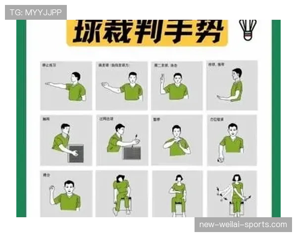 如何准确判定持球五秒违例？看懂违例时机与裁判手势